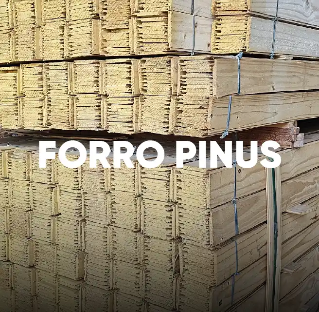 Forro de Pinus